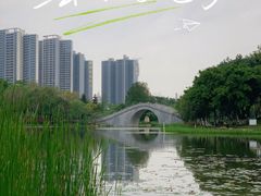 -映月湖公园