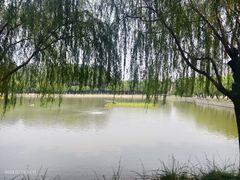 -中国农业博物馆