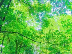 -桤木河湿地公园