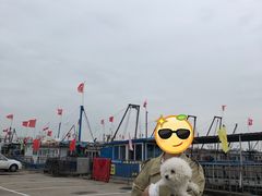 -红星码头