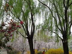 -元大都城垣遗址公园