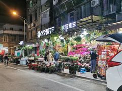 -溪岸路花鸟市场