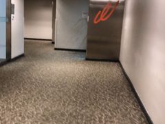 -健身专家Wellness Experts