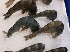 -海底捞火锅(新松江路店)