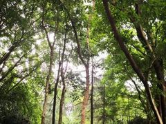 -西南政法大学(沙坪坝校区)