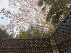 -春晖园度假酒店温泉