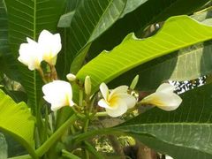 android_upload_pic-西安世博园