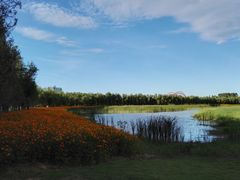 -艾溪湖湿地公园