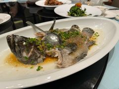 清蒸竹笋壳鱼-尚一汤·粤菜海鲜(环球港店)