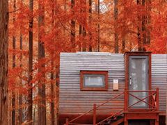 -黄海国家森林公园