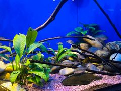 -上海海洋水族馆