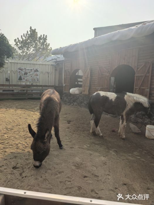 HERRE·FARM 赫尔露营农场·团建聚会包场图片