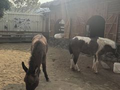 -HERRE·FARM 赫尔露营农场·团建聚会包场