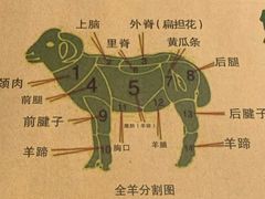 -大明铜锅·烤涮坊·烧烤(新开路店)
