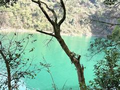 -仙岛湖旅游风景区