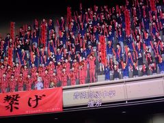 -天幕新彩云国际影城(激光巨幕店)