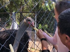 -长白岛森林公园