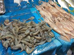 -鑫朱雀农贸批发市场