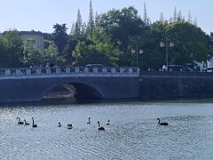 -扬州大运河文化旅游度假区·盆景园