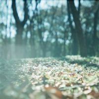 -reading cafe瑞汀咖啡(新华路店)