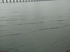 android_upload_pic-宝安西湾红树林湿地公园