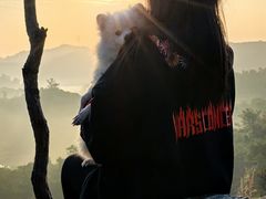 -凤岗南门山森林公园