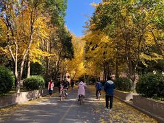 -陕西师范大学(雁塔校区)