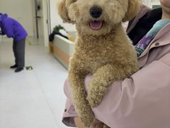 -达爱动物医院·犬猫分区·CT·复杂眼科(远洋山水分院)
