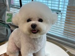 -帕帕拉兹宠物(亚洲旗舰店)