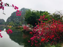 -星湖旅游景区七星岩