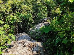 -老山国家森林公园
