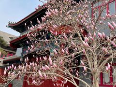 -天津大悲禅院