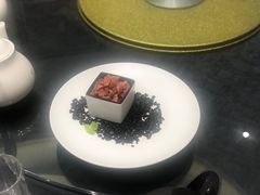 -丁老爷子苏香圆