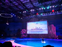 -华夏文旅海洋公园