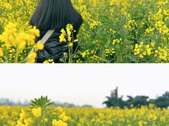 -蜀绣公园