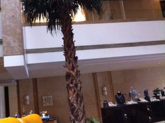 -新疆尊茂银都酒店