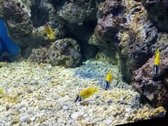 -福州罗源湾海洋世界旅游区