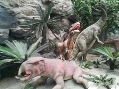 -国家自然博物馆