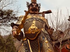 -潇湘甲鱼村(清河店)