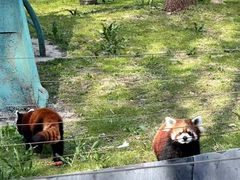 -哈尔滨北方森林动物园
