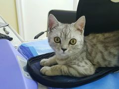 -芭比堂动物医院广州顽皮分院