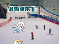 -哈尔滨热雪奇迹