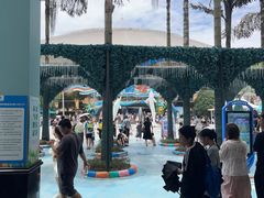 -海合安成都极地海洋公园