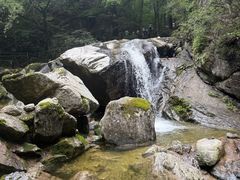 -牛背梁国家森林公园