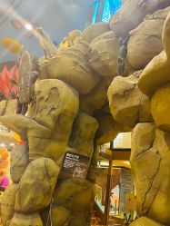 -卡通尼·Safari非洲探索乐园·生日会(金桥国际商业广场店)