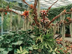 -北京植物园-展览温室