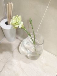 -HEYAN荷妍专业脱毛连锁机构