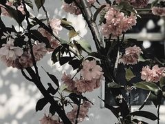 -星巴克(天津大悦城第二店)