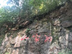 -国生茶庄·地道农家菜团建活动