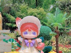 -苏州乐园森林水世界